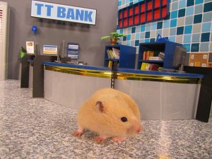 TVO's November 2011 Highlights