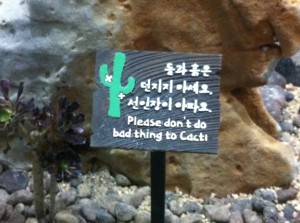 3_Cacti