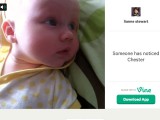 Grow your IP with Vine