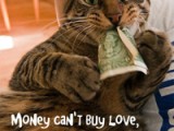 App Pricing Strategies: Are you worth more than alt=
