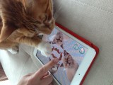 An App's Development Secrets Revealed, Part 1