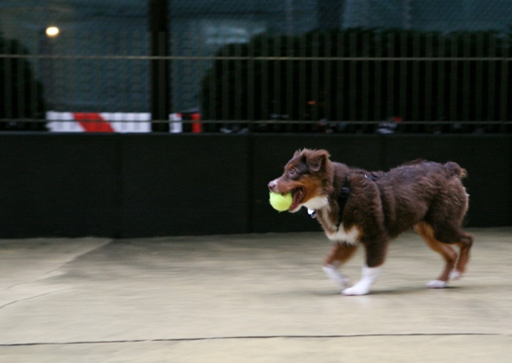 1_Buffy Runs
